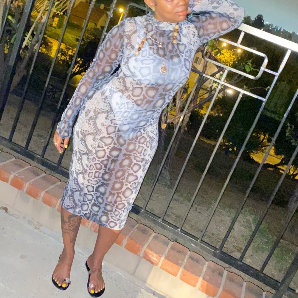 Mesh see through dress